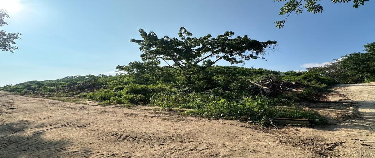 Foto de terreno habitacional en venta en cuatunalcohuatulco  , barra de cuatunalco, san pedro pochutla, oaxaca, 0 No. 06